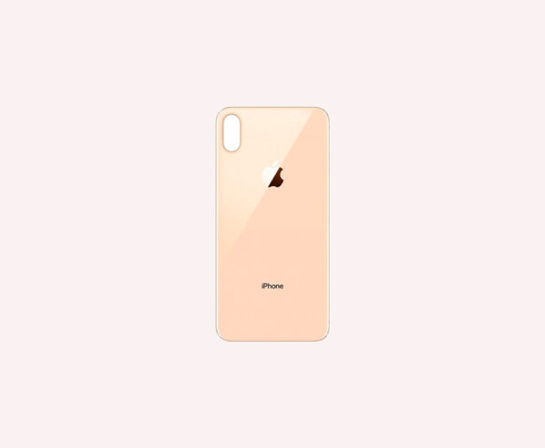 Tapa iPhone XS Max Rosa